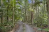 190 Old Palmwoods Road, Palmwoods, Qld 4555-Image