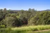 190 Old Palmwoods Road, Palmwoods, Qld 4555-Image