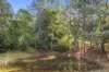 190 Old Palmwoods Road, Palmwoods, Qld 4555-Image