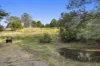 190 Old Palmwoods Road, Palmwoods, Qld 4555-Image
