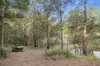 190 Old Palmwoods Road, Palmwoods, Qld 4555-Image