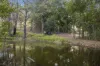 190 Old Palmwoods Road, Palmwoods, Qld 4555-Image