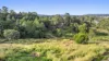 190 Old Palmwoods Road, Palmwoods, Qld 4555-Image