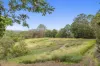 190 Old Palmwoods Road, Palmwoods, Qld 4555-Image