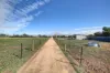 1901 Jervois Road, Woods Point, SA 5253-Image
