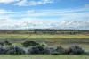 1901 Jervois Road, Woods Point, SA 5253-Image