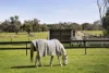 191-193 Smiths Lane, Cranbourne South, Vic 3977-Image