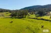 191 Ferndale Road, Woomargama, NSW 2644-Image