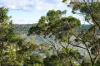 191 Prince Alfred Parade, Newport, NSW 2106-Image