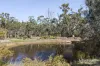 191 Providence Gully Road, Sandon, Vic 3462-Image