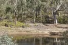 191 Providence Gully Road, Sandon, Vic 3462-Image