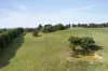 191 Spillers Road, Macclesfield, Vic 3782-Image