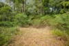 1918 Mount Nebo Road, Mount Nebo, Qld 4520-Image