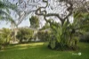 192 Brisbane Street, Bulimba, Qld 4171-Image