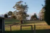 192 Cormiston Road, Riverside, Tas 7250-Image