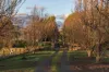 192 Cormiston Road, Riverside, Tas 7250-Image