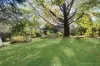 192 Forest Road, Boronia, Vic 3155-Image