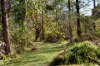 192 Forest Road, Boronia, Vic 3155-Image