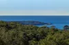 192 Mirador Drive, Merimbula, NSW 2548-Image