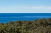 192 Mirador Drive, Merimbula, NSW 2548-Image