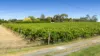 192 Square Mile Road, Yahl, SA 5291-Image