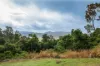 192 Staniland Drive, Strathdickie, Qld 4800