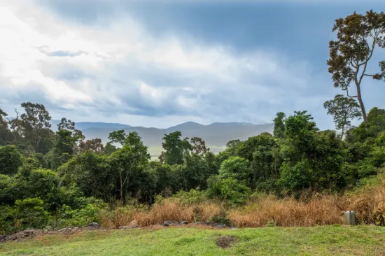 192 Staniland Drive, Strathdickie, Qld 4800