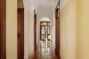 193 Birrell Street, Waverley, NSW 2024-Image