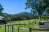 193 Espin Road, Bli Bli, Qld 4560-Image