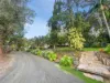 1939 Cawongla Road, Cawongla, NSW 2474-Image