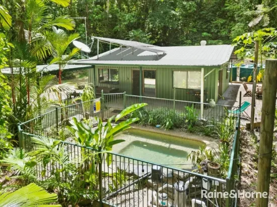194 Carbeen Road, Diwan, Daintree, Qld 4873