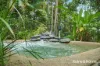 194 Carbeen Road, Diwan, Daintree, Qld 4873-Image