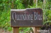 194 Carbeen Road, Diwan, Daintree, Qld 4873-Image