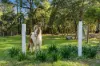 194 Mcmahons Road, North Nowra, NSW 2541-Image