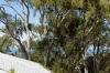 194 Mooloolaba Road, Buderim QLD 4556-Image