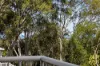 194 Mooloolaba Road, Buderim QLD 4556-Image