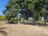 194 MOUNTAINVIEW Road, Airville, Qld 4807-Image