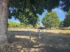 194 MOUNTAINVIEW Road, Airville, Qld 4807-Image