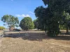 194 MOUNTAINVIEW Road, Airville, Qld 4807-Image