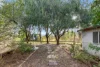194 Old Turrawan Road, Narrabri, NSW 2390-Image