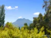 1942 Huon Highway, Grove, Tas 7109-Image