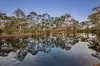 1944 Strathfieldsaye Road, Eppalock, Vic 3551-Image