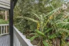 1945 Springbrook Road, Springbrook, Qld 4213-Image
