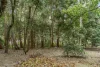 1945 Springbrook Road, Springbrook, Qld 4213-Image