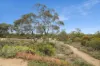 195 Boy Scout Road, Blanchetown SA 5357-Image