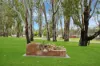 195 Boy Scout Road, Blanchetown SA 5357-Image