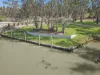 195 Boy Scout Road, Blanchetown SA 5357-Image