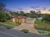 195 Castile Crescent, Edens Landing, Qld 4207