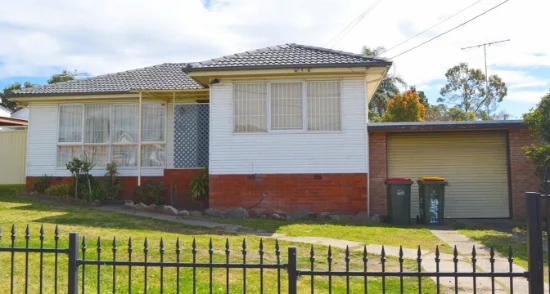 195 Meadows Road, Mount Pritchard NSW 2170-Image