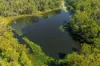 195 Old Murrayville Road, Ashby Heights NSW 2463-Image